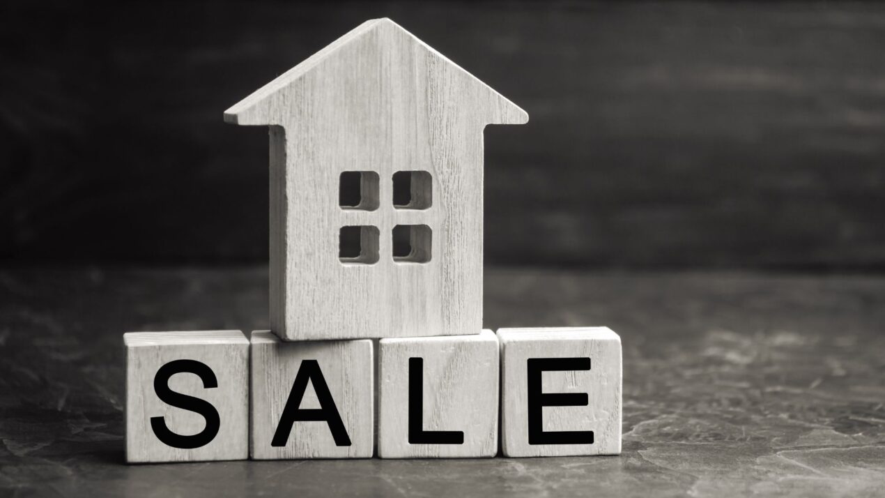 dubai real estate - grovy developers