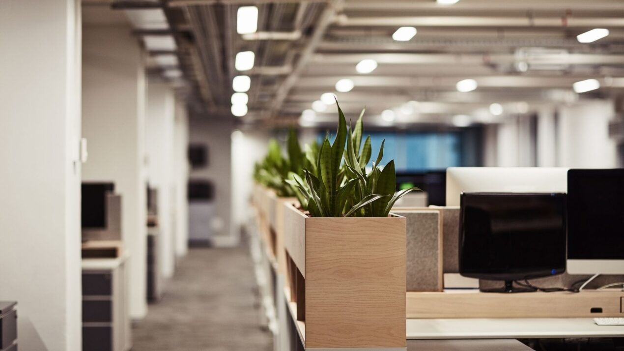 office in dubai