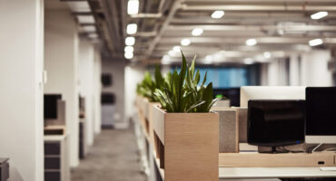 Dubai Office Space, grovy real estate developers