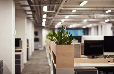 Dubai Office Space, grovy real estate developers