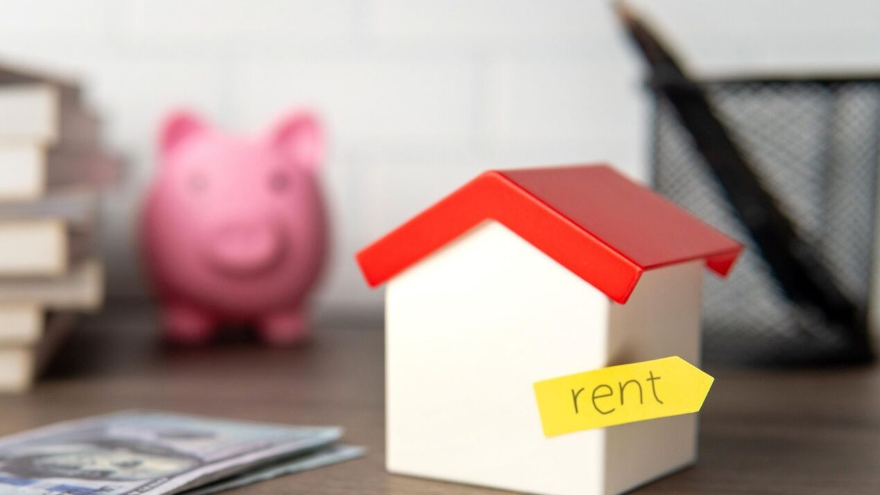 dubai rental market