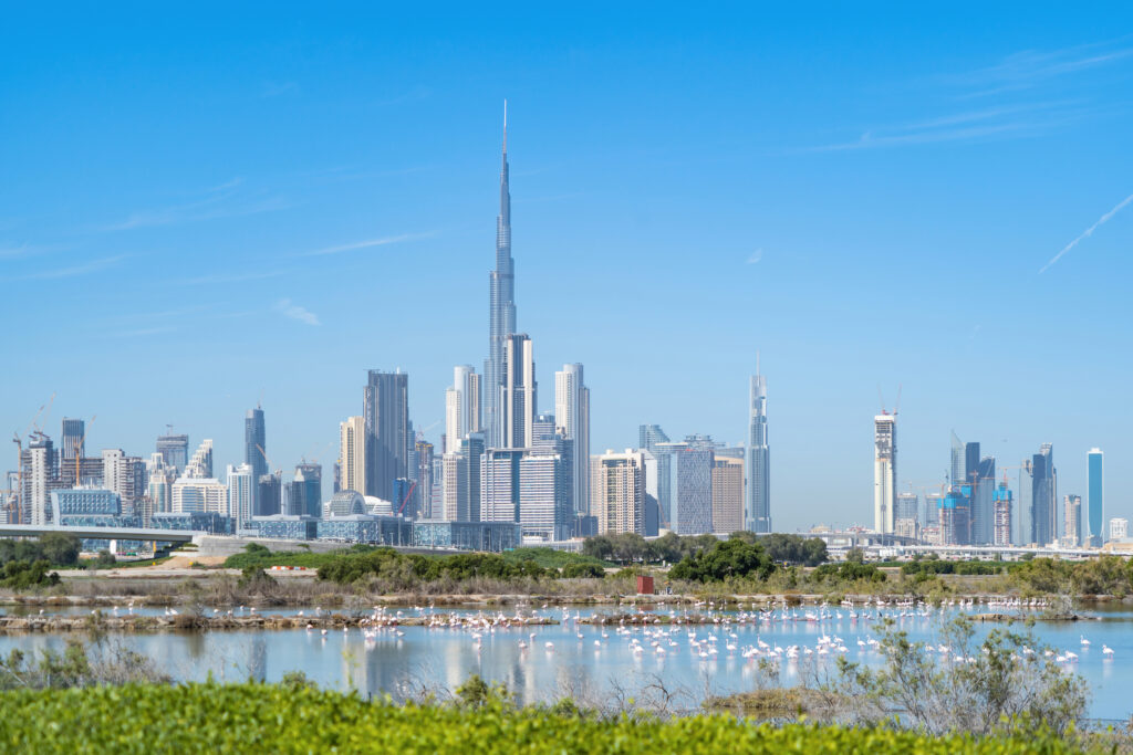 Invest in Dubai - Grovy Real Estate Developers Dubai
